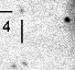 nm8104_i.jpg