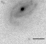 sn07y_i.jpg