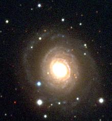 sn2000cj_color.jpg